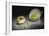 Artichokes-Christophe Verot-Framed Giclee Print