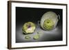 Artichokes-Christophe Verot-Framed Giclee Print