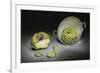 Artichokes-Christophe Verot-Framed Giclee Print