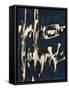 Articulated Color II-Joshua Schicker-Framed Stretched Canvas