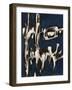 Articulated Color II-Joshua Schicker-Framed Giclee Print