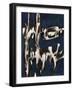 Articulated Color II-Joshua Schicker-Framed Giclee Print