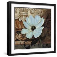 Artifact I-Pamela Gladding-Framed Art Print