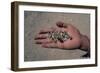 Artifacts Found During Excavations in Tomb of Governor, Valley of Golden Mummies, Bahariya Oasis-null-Framed Giclee Print