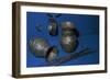 Artifacts from a deposition in Villenueve-Saint-Vistre, France. Artist: Unknown-Unknown-Framed Giclee Print