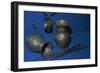 Artifacts from a deposition in Villenueve-Saint-Vistre, France. Artist: Unknown-Unknown-Framed Giclee Print