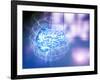 Artificial Intelligence-PASIEKA-Framed Photographic Print