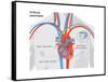 Artificial Pacemaker-Encyclopaedia Britannica-Framed Stretched Canvas