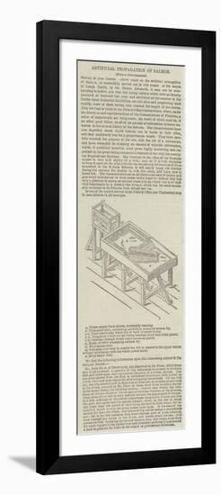 Artificial Propagation of Salmon-null-Framed Premium Giclee Print