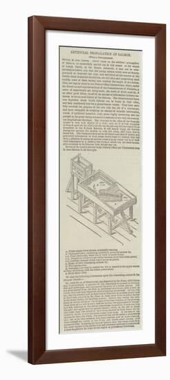 Artificial Propagation of Salmon-null-Framed Premium Giclee Print