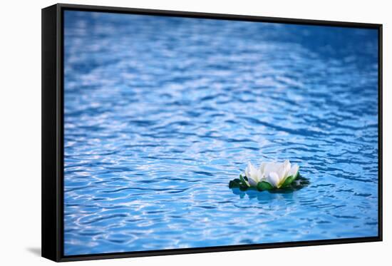 Artificial Water Lilly-Alexandru Nika-Framed Stretched Canvas