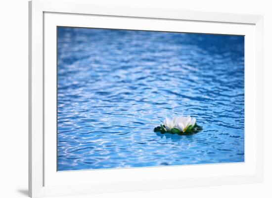 Artificial Water Lilly-Alexandru Nika-Framed Photographic Print