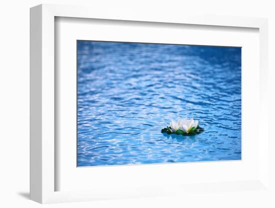 Artificial Water Lilly-Alexandru Nika-Framed Photographic Print