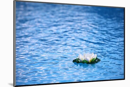 Artificial Water Lilly-Alexandru Nika-Mounted Photographic Print