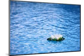 Artificial Water Lilly-Alexandru Nika-Mounted Photographic Print