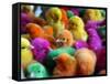 Artificially Colored Chicks Crowd Together-null-Framed Stretched Canvas