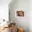 Artificially Colored Chicks Crowd Together-null-Framed Photographic Print displayed on a wall