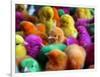 Artificially Colored Chicks Crowd Together-null-Framed Photographic Print