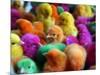 Artificially Colored Chicks Crowd Together-null-Mounted Photographic Print