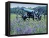 Artillery Cannon, Petersburg National Battlefield Park, Virginia, USA-Charles Gurche-Framed Stretched Canvas