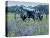Artillery Cannon, Petersburg National Battlefield Park, Virginia, USA-Charles Gurche-Stretched Canvas