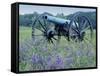 Artillery Cannon, Petersburg National Battlefield Park, Virginia, USA-Charles Gurche-Framed Stretched Canvas