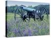 Artillery Cannon, Petersburg National Battlefield Park, Virginia, USA-Charles Gurche-Stretched Canvas