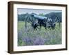 Artillery Cannon, Petersburg National Battlefield Park, Virginia, USA-Charles Gurche-Framed Premium Photographic Print