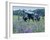 Artillery Cannon, Petersburg National Battlefield Park, Virginia, USA-Charles Gurche-Framed Premium Photographic Print