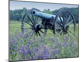 Artillery Cannon, Petersburg National Battlefield Park, Virginia, USA-Charles Gurche-Mounted Premium Photographic Print