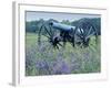 Artillery Cannon, Petersburg National Battlefield Park, Virginia, USA-Charles Gurche-Framed Photographic Print