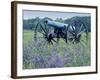 Artillery Cannon, Petersburg National Battlefield Park, Virginia, USA-Charles Gurche-Framed Photographic Print