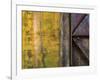 Artillery Door 2-Don Paulson-Framed Giclee Print