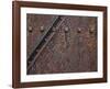 Artillery Door-Don Paulson-Framed Giclee Print