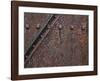 Artillery Door-Don Paulson-Framed Giclee Print