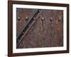 Artillery Door-Don Paulson-Framed Giclee Print