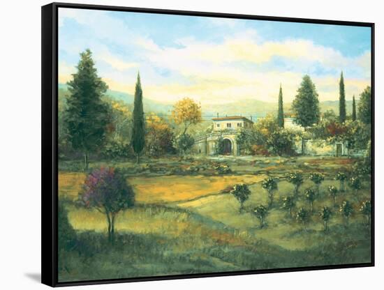 Artimino-Joe Sambataro-Framed Stretched Canvas