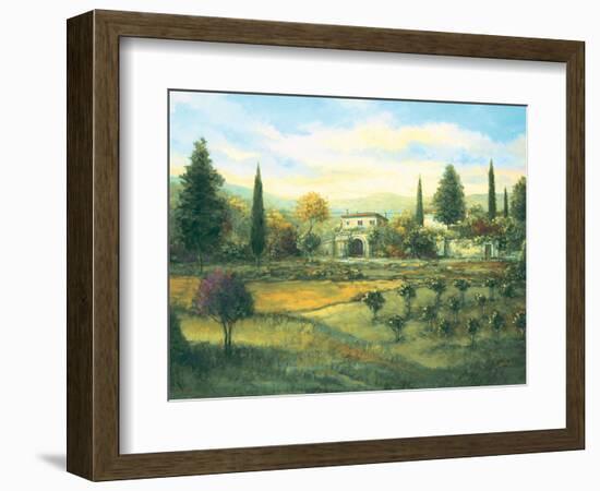 Artimino-Joe Sambataro-Framed Art Print