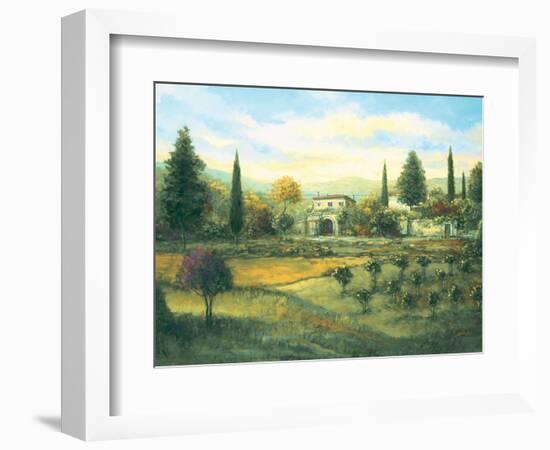 Artimino-Joe Sambataro-Framed Art Print