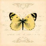 Yellow Butterfly-Artique Studio-Art Print
