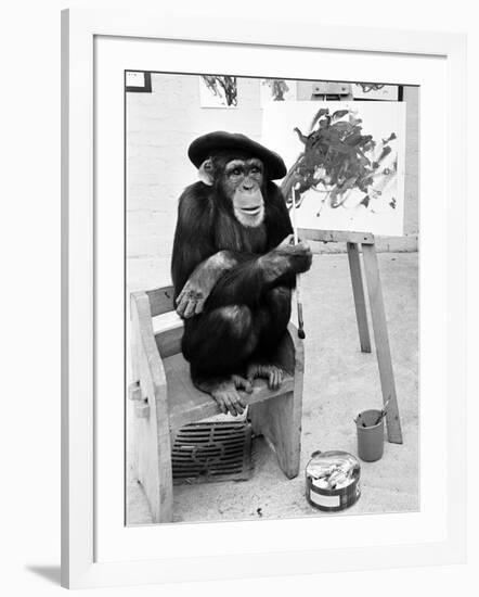 Artist Chimp 1955-Williams-Framed Photographic Print