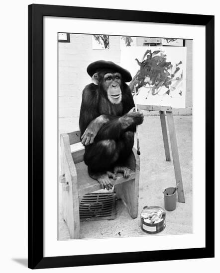 Artist Chimp 1955-Williams-Framed Photographic Print