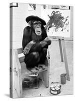 Artist Chimp 1955-Williams-Stretched Canvas