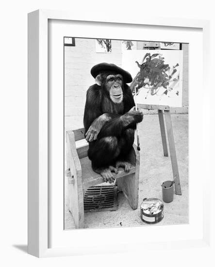 Artist Chimp 1955-Williams-Framed Photographic Print