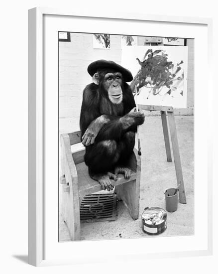 Artist Chimp 1955-Williams-Framed Photographic Print