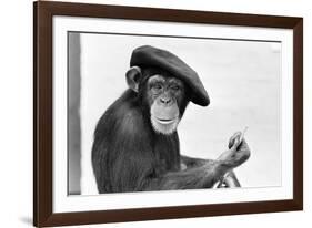 Artist Chimp 1955-Williams-Framed Photographic Print