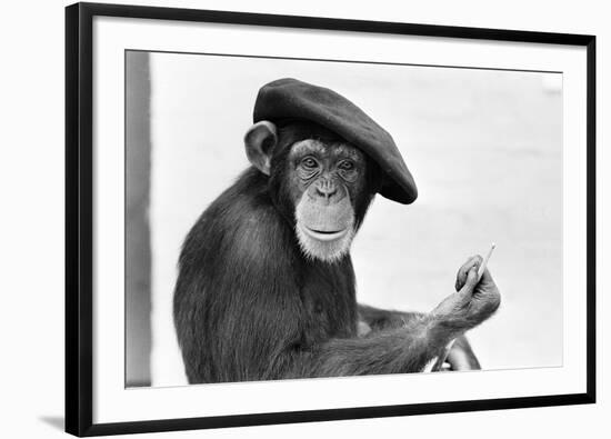 Artist Chimp 1955-Williams-Framed Photographic Print