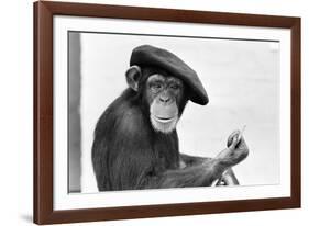 Artist Chimp 1955-Williams-Framed Photographic Print