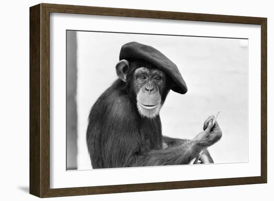 Artist Chimp 1955-Williams-Framed Photographic Print