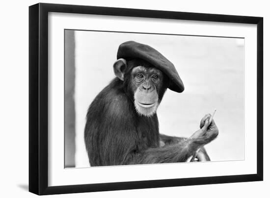 Artist Chimp 1955-Williams-Framed Photographic Print